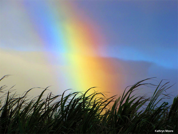 Rainbow Promise by Kathryn Moore