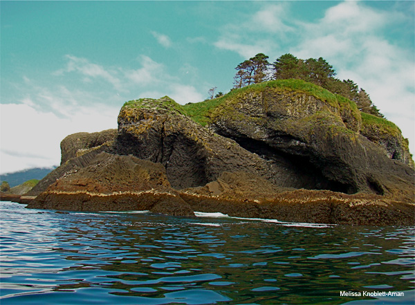 St. Lazaria Island by Melissa Knoblett-Aman